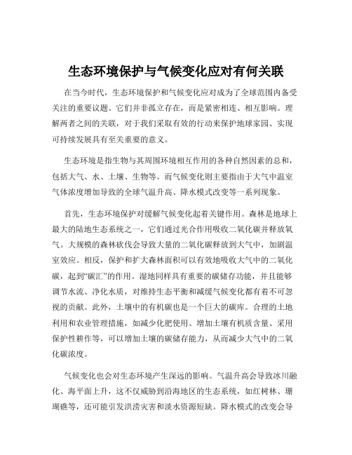 生态环境保护与气候变化应对有何关联