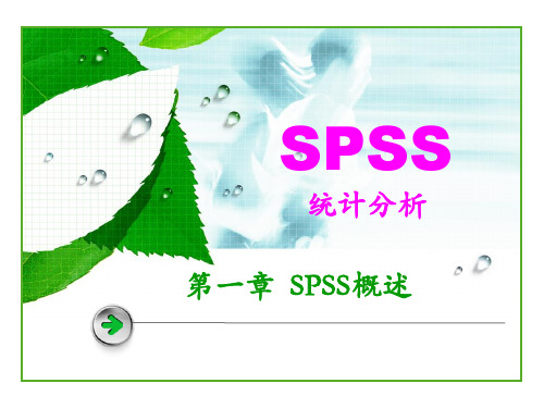 SPSS第一章