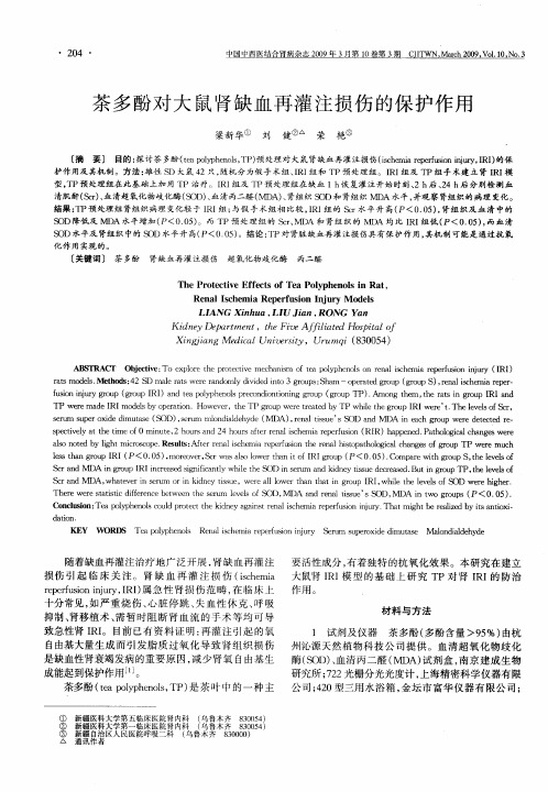 茶多酚对大鼠肾缺血再灌注损伤的保护作用
