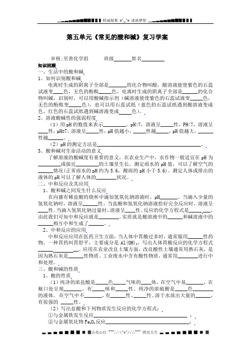 鲁教版化学九年第五单元《常见的酸和碱》word复习学案