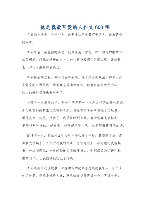 他是我最可爱的人作文600字