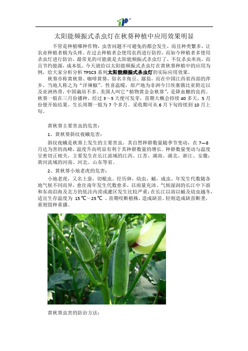 太阳能频振式杀虫灯在秋葵种植中应用效果明显