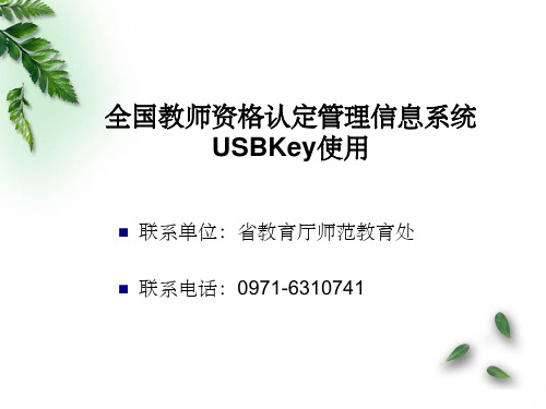 全国教师资格认定管理信息系统USBKey使