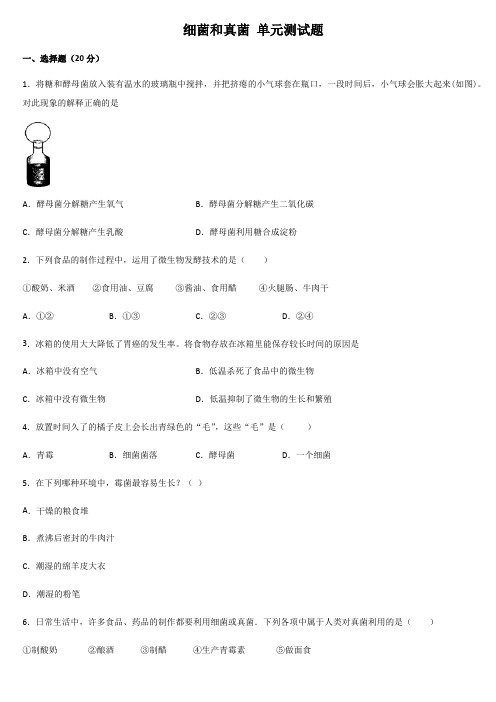 细菌和真菌单元测试题附答案