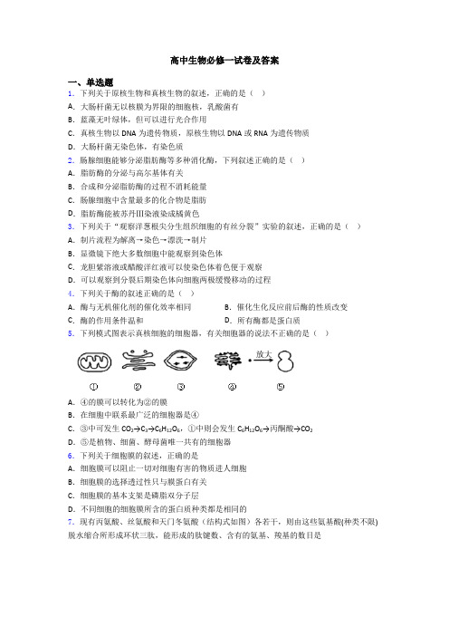 高中生物必修一试卷及答案