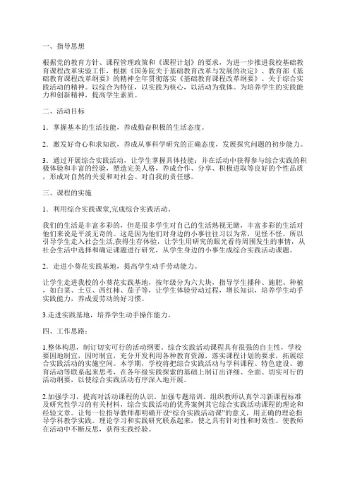 学校综合实践活动课程实施方案