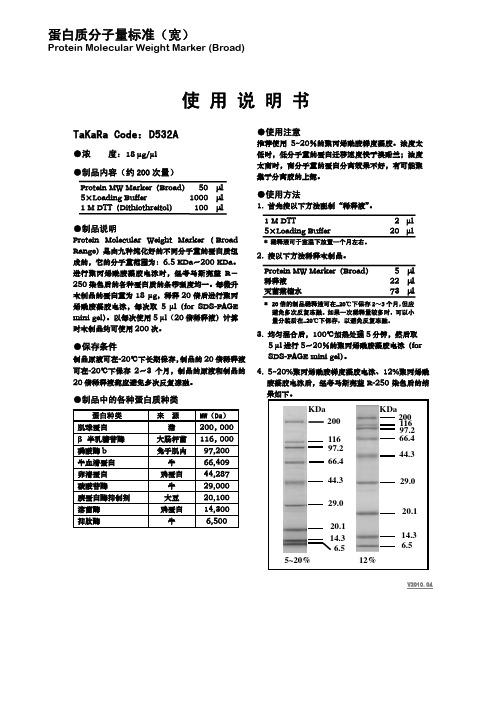 蛋白质分子量标准(宽)