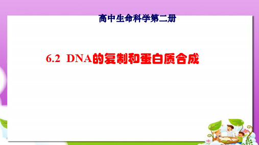 沪科版高中生命科学第二册6.2《DNA复制和蛋白质合成》ppt课件5