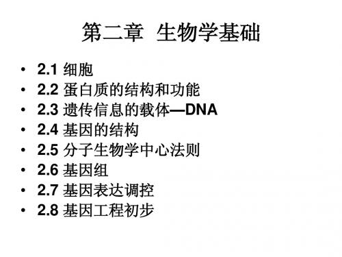 生物信息学第二章