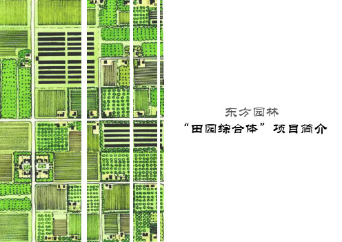 东方园林田园综合体PPT方案