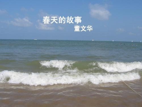 在大海中永生 ppt