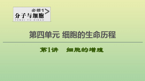 2021高考生物一轮复习第4单元细胞的生命历程第1讲细胞的增殖课件新人教版必修1