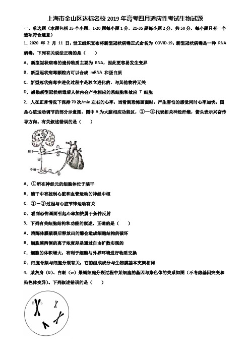 上海市金山区达标名校2019年高考四月适应性考试生物试题含解析