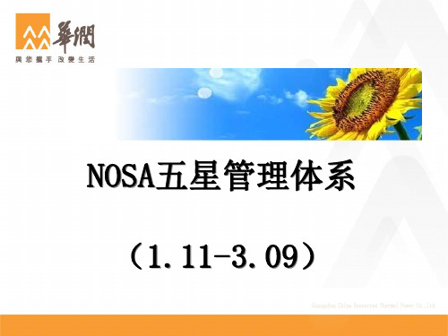 NOSA五星级管理72元素讲解培训课件(新)~61B02