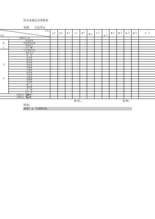 资金来源运用预算表doc