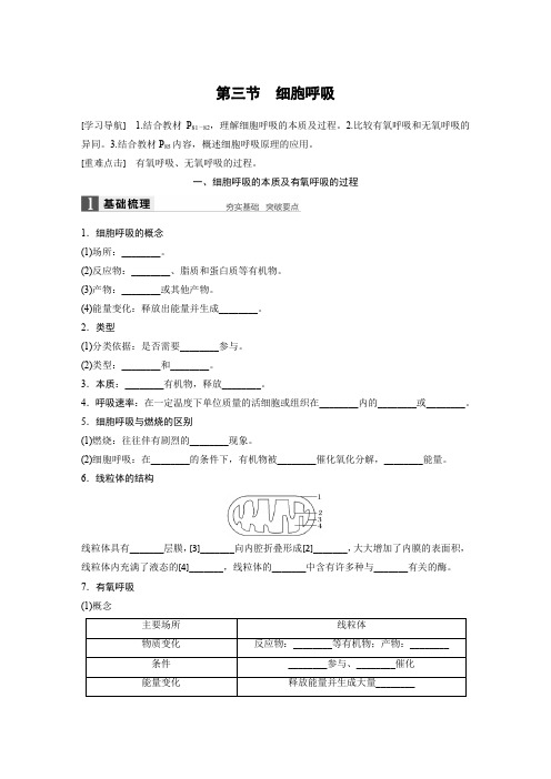 2018版高中生物必修一学案：4-3 细胞呼吸 精品