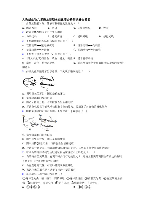 人教版生物八年级上册期末强化综合检测试卷含答案