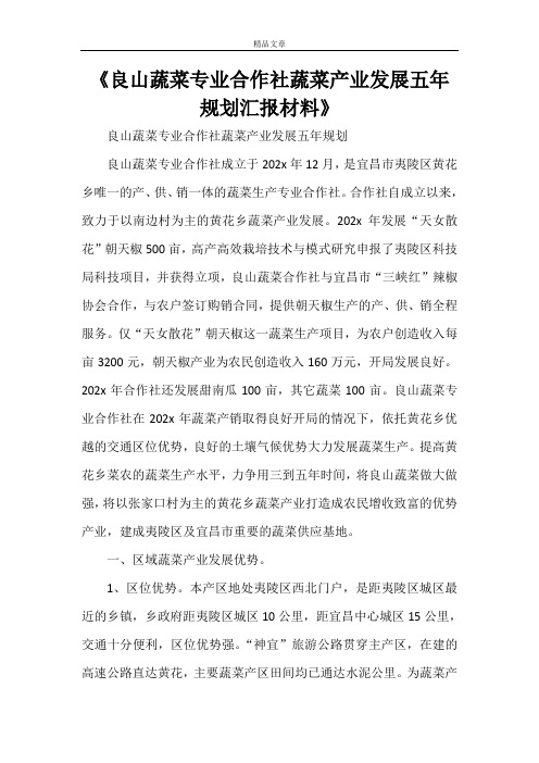 《良山蔬菜专业合作社蔬菜产业发展五年规划汇报材料》