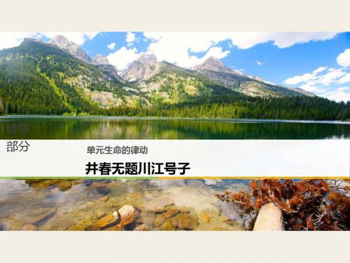 生命的律动ppt (2)