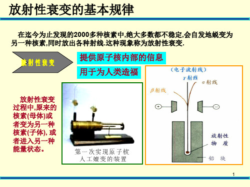 原子核衰变