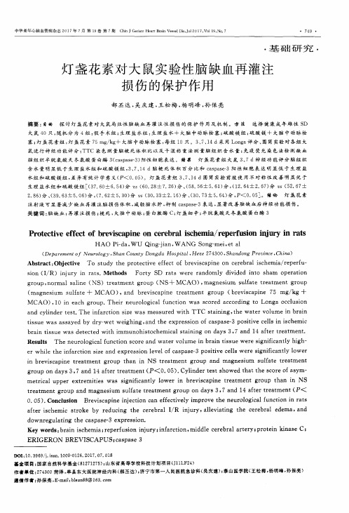 灯盏花素对大鼠实验性脑缺血再灌注损伤的保护作用