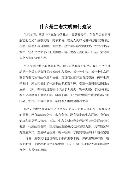 什么是生态文明如何建设