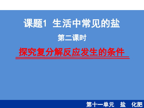 人教九年级化学下册第11单元1生活中常见的盐(共31张PPT)