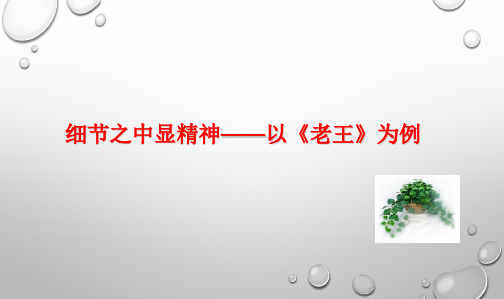 细节之中显精神——以《老王》为例