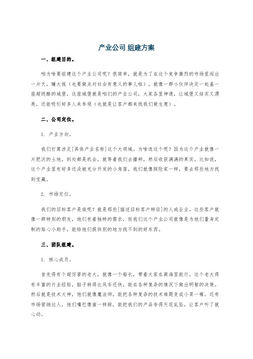 产业公司 组建方案