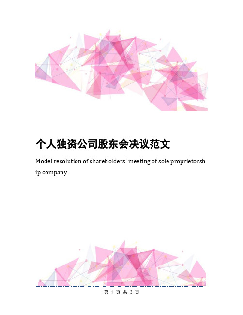 个人独资公司股东会决议范文
