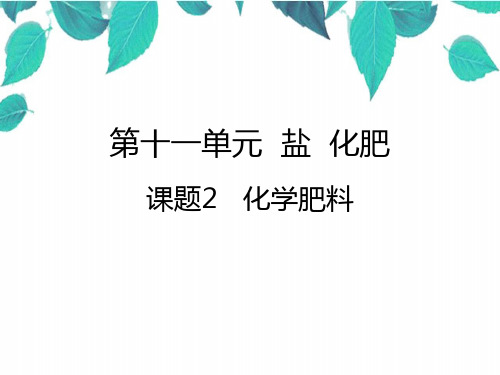 人教版化学九年级下册 第十一单元盐化肥课题2化学肥料 课件(共27张PPT)