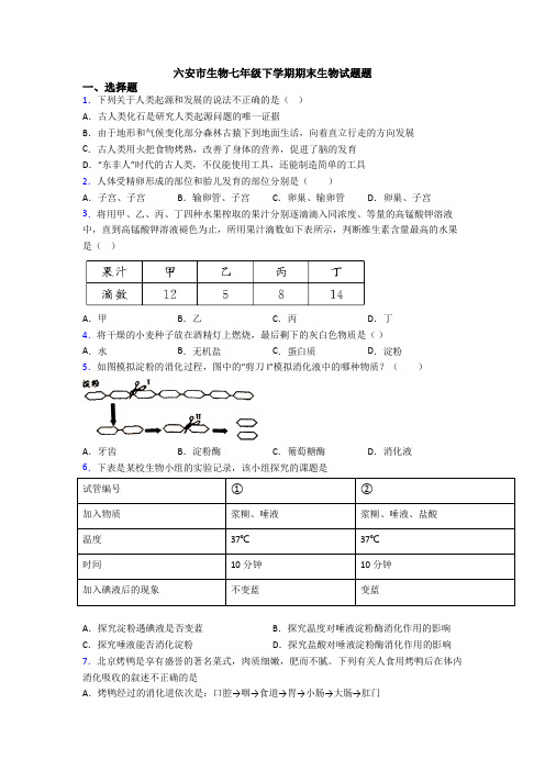 六安市生物七年级下学期期末生物试题题