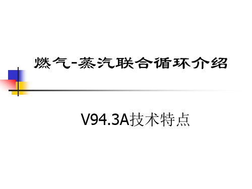 天然气发电厂 燃气-蒸汽联合循环发电机组