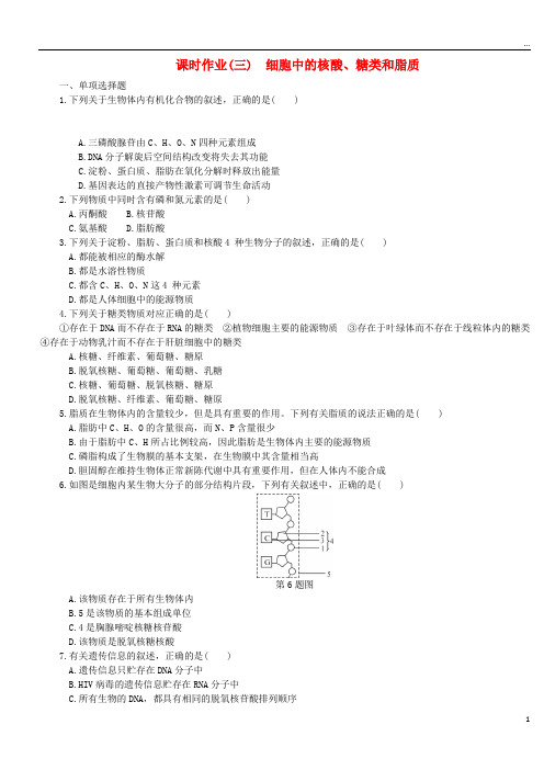 (江苏专用)2019年高考生物一轮总复习 课时作业(三)细胞中的核酸、糖类和脂质