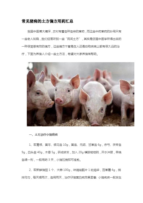 常见猪病的土方偏方用药汇总