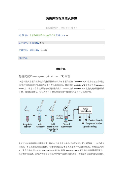 免疫共沉淀