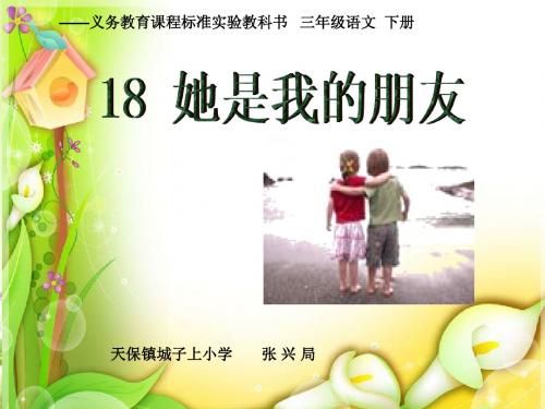 18她是我的朋友ppt