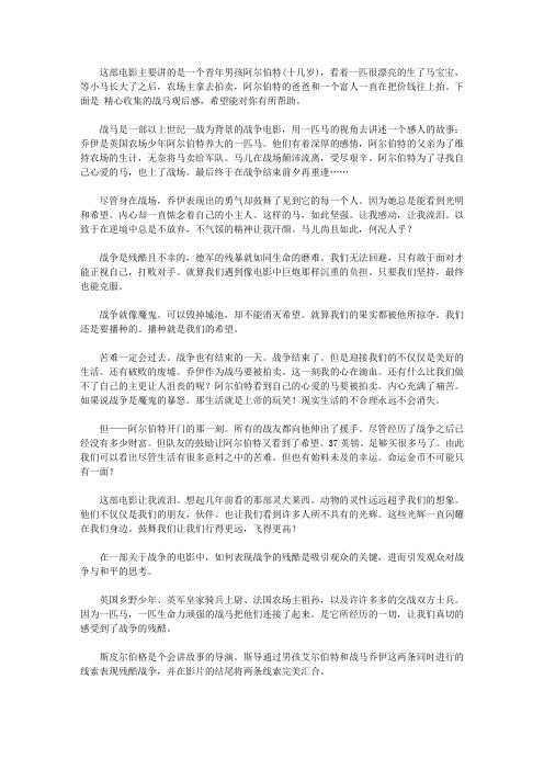 2020《战马》观后感3篇