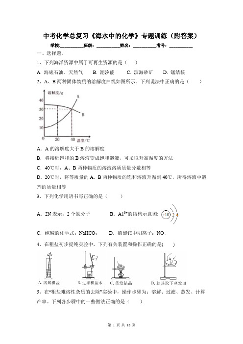 中考化学总复习《海水中的化学》专题训练(附答案)