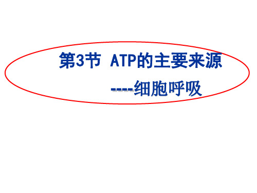 人教版高中生物必修一5.3ATP的主要来源——细胞呼吸