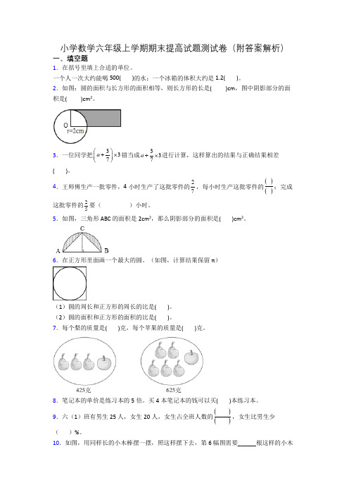 小学数学六年级上学期期末提高试题测试卷(附答案解析)