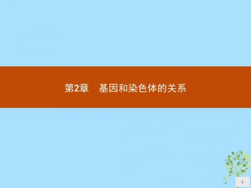 高中生物人教版必修2课件2.1 减数分裂和受精作用