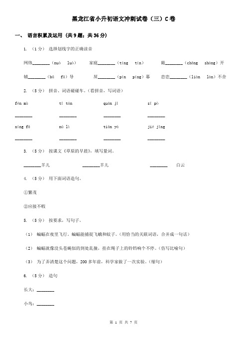 黑龙江省小升初语文冲刺试卷(三)C卷