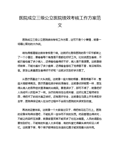 医院成立三级公立医院绩效考核工作方案范文