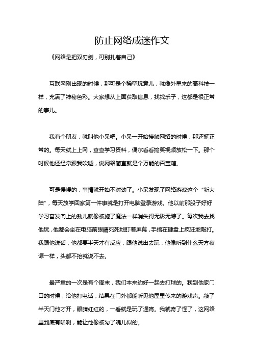 防止网络成迷作文