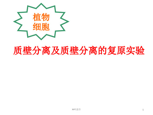 质壁分离及质壁分离的复原实验  ppt课件