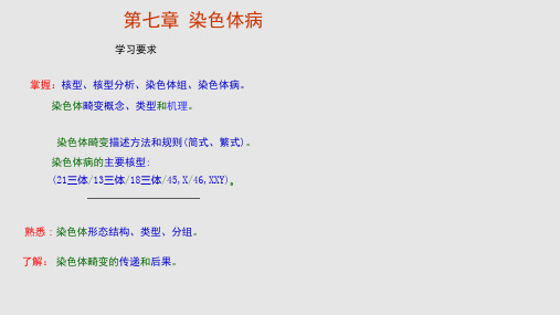 医学遗传学章染色体病PPT课件