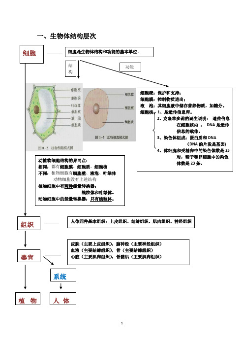 生物中考复习提纲