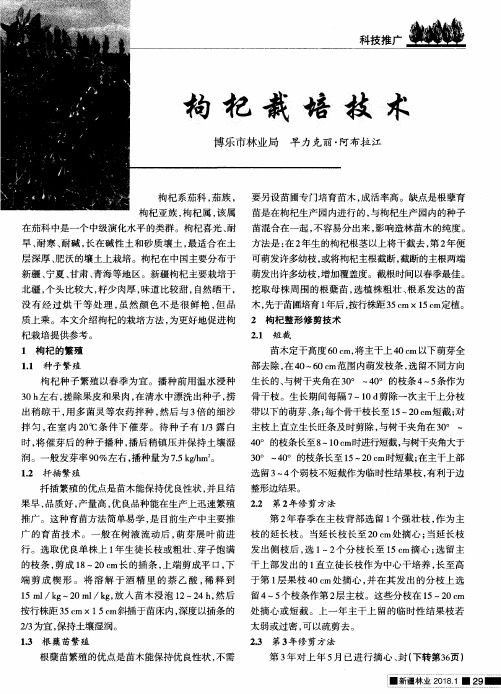 枸杞栽培技术