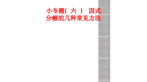 小专题(  六  ) 因式分解的几种常见方法